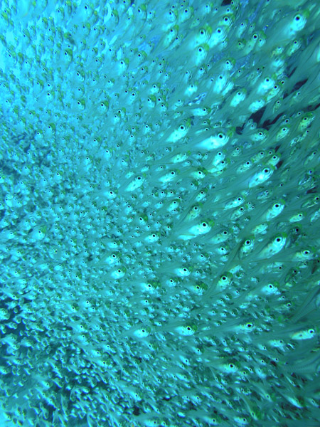 b0062363_2156546.jpg