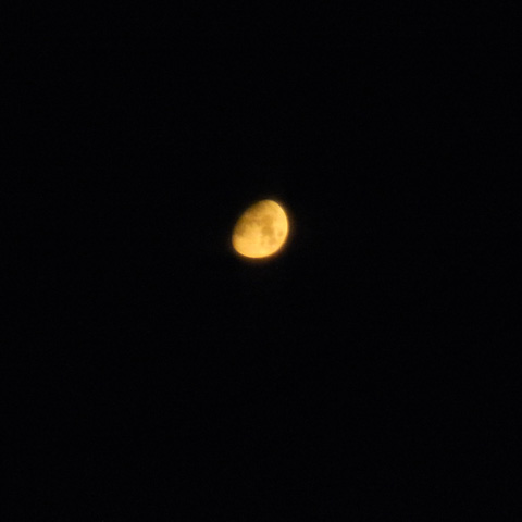 e0061266_12133799.jpg