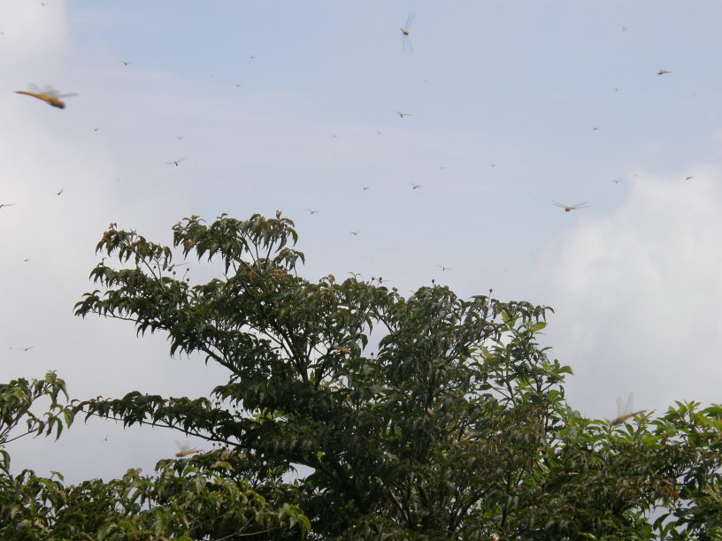c0042869_15115766.jpg