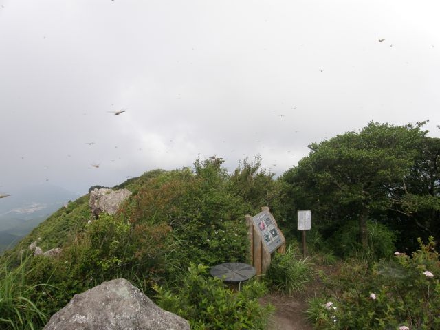c0042869_1595763.jpg