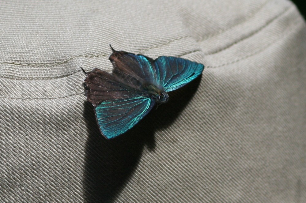 b0088772_21142265.jpg
