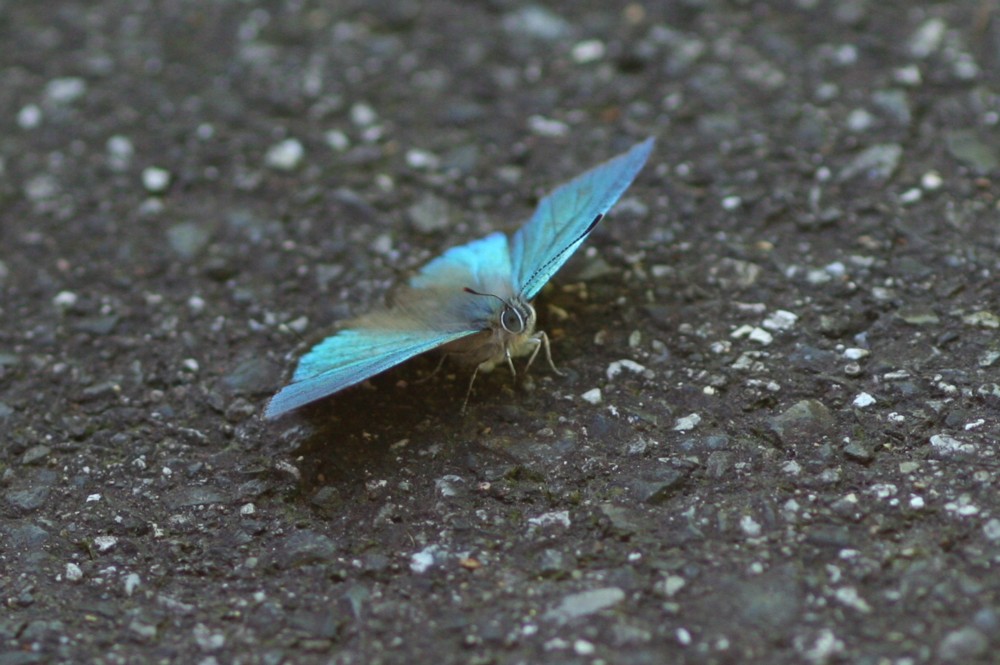 b0088772_21151769.jpg