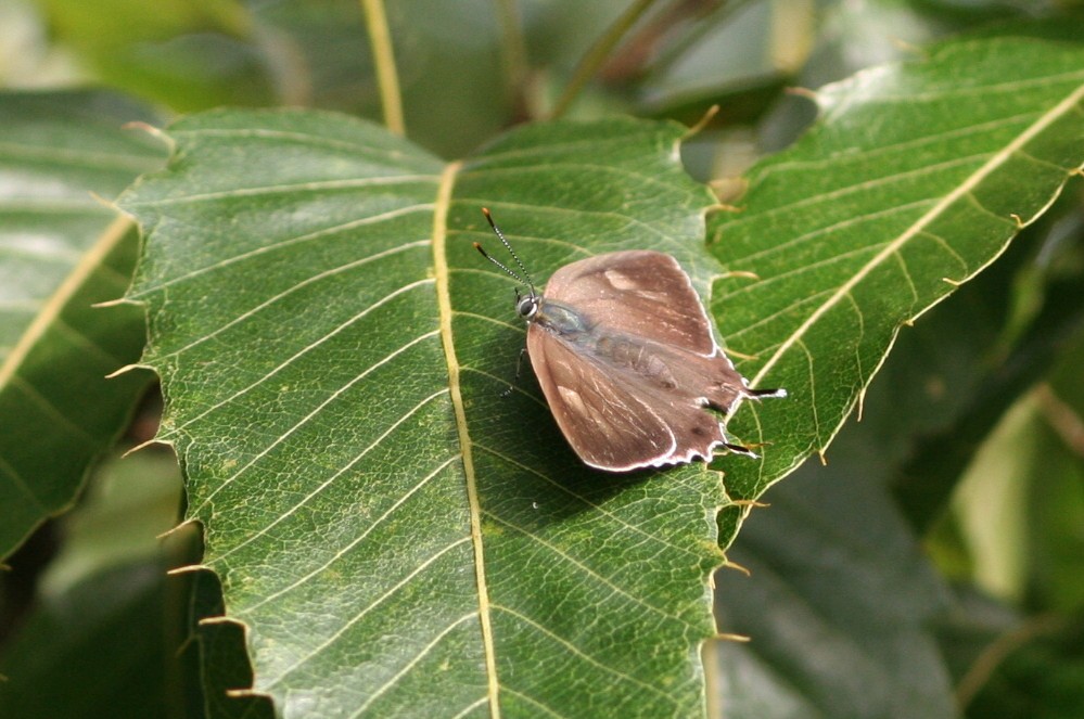 b0088772_21435645.jpg