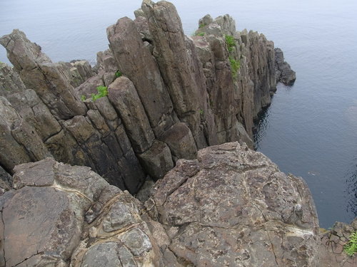 f0130376_8443125.jpg