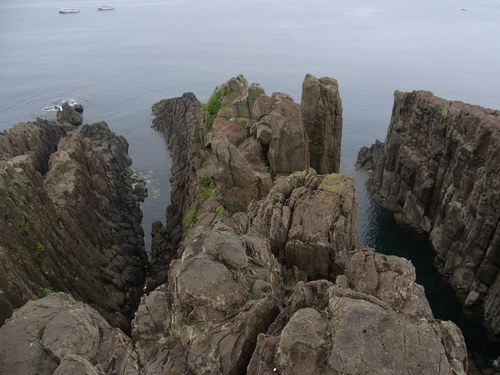 f0130376_8443994.jpg