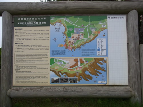 f0130376_844489.jpg