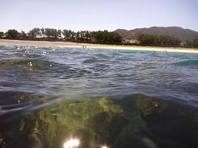 f0016981_3522887.jpg