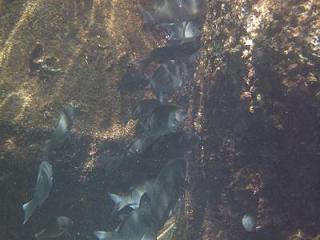 f0016981_3534962.jpg