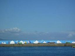 f0016981_3542592.jpg