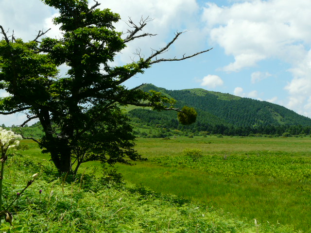 e0145782_19122433.jpg