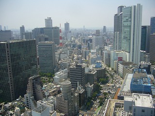 d0114583_1511033.jpg