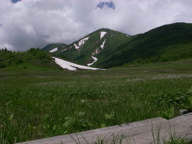 e0129083_10455254.jpg