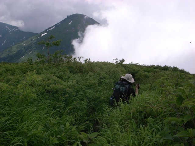 e0129083_114771.jpg