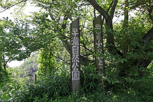 e0190885_1544337.jpg