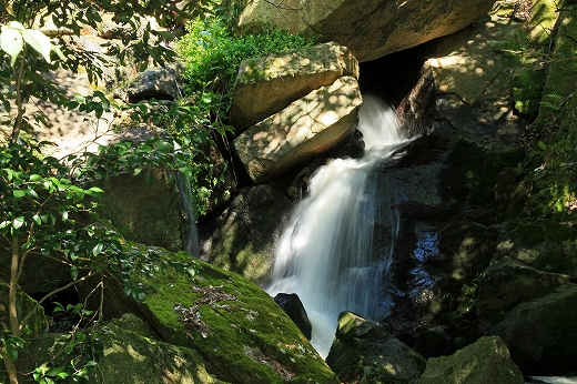 e0190885_1554193.jpg