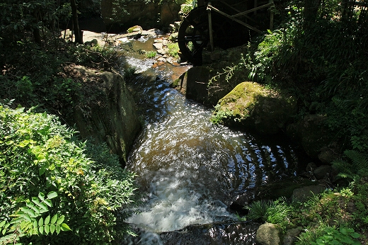 e0190885_1555698.jpg
