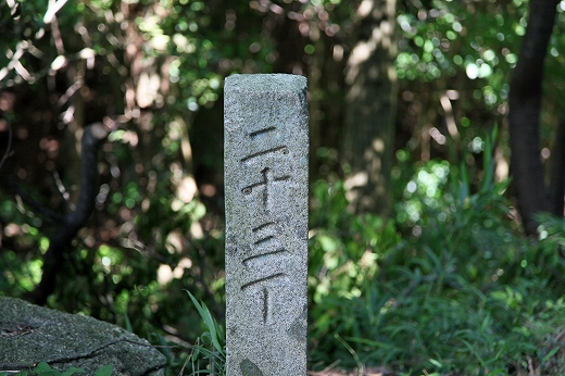 e0190885_156147.jpg