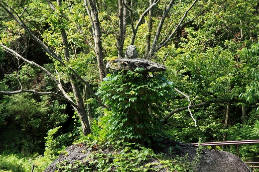 e0190885_1561968.jpg