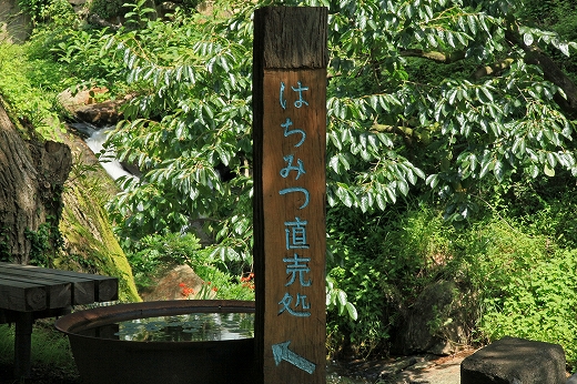e0190885_1563316.jpg