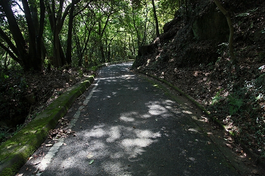 e0190885_1564220.jpg
