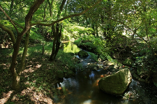 e0190885_1565586.jpg