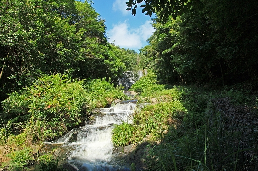 e0190885_156849.jpg