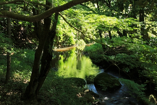 e0190885_15704.jpg