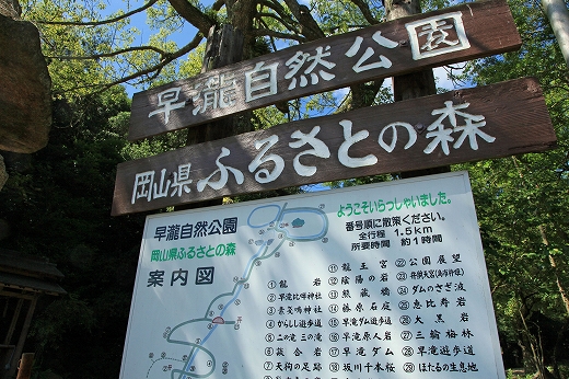 e0190885_1572381.jpg