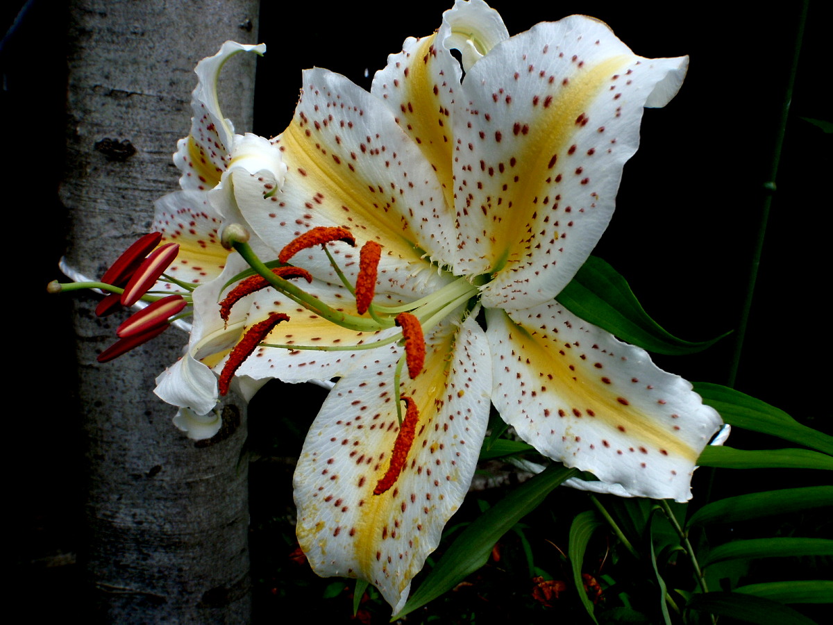a0007388_7282856.jpg
