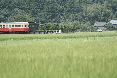 b0151390_1349241.jpg