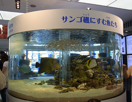 c0040191_22471738.jpg