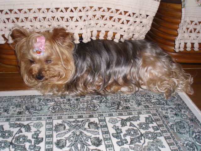 f0130894_22101612.jpg