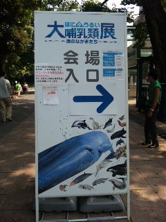 e0087901_0261551.jpg