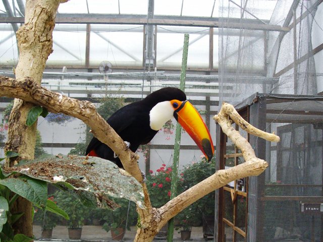 b0164002_636064.jpg