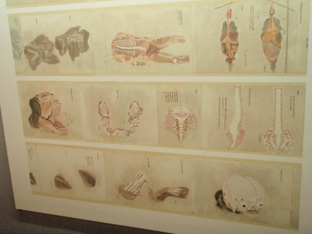 b0164002_7335514.jpg