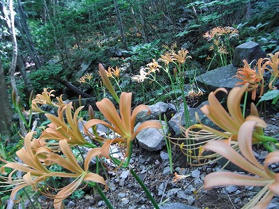 f0187402_2113493.jpg