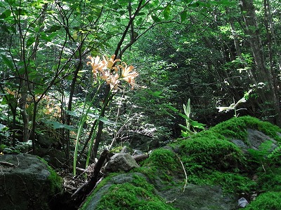 f0187402_2114980.jpg