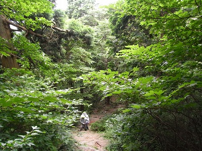 f0187402_2124635.jpg