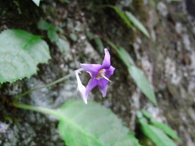 f0187402_2125437.jpg