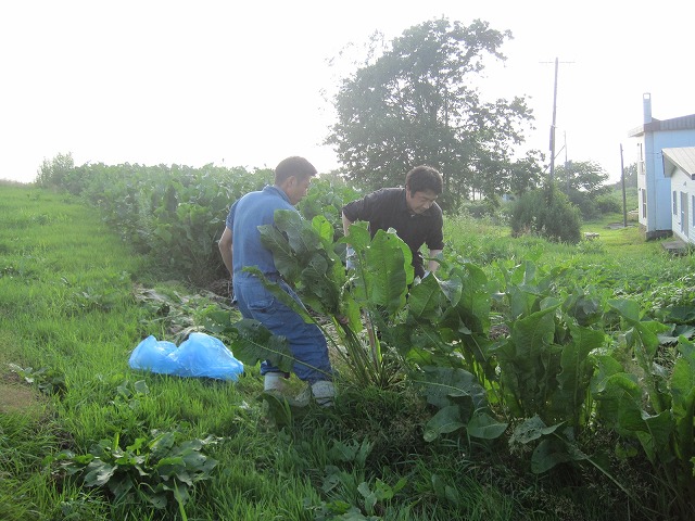 f0202703_6172773.jpg