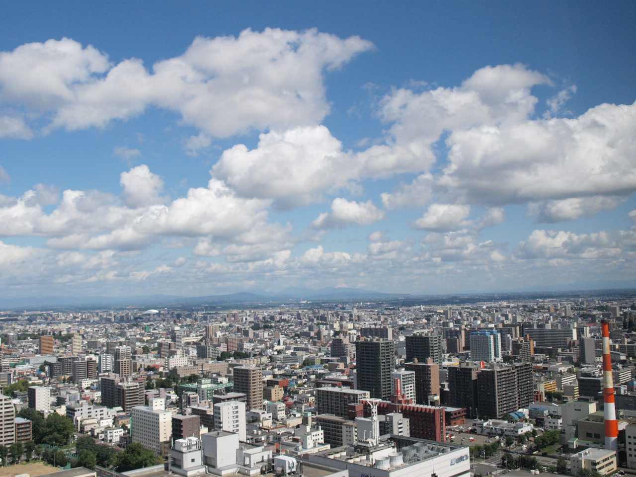 a0157704_23273524.jpg