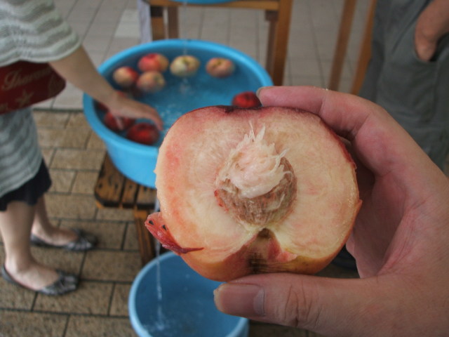 a0116205_22325075.jpg