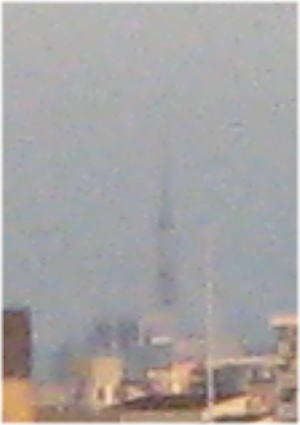 c0148108_826484.jpg