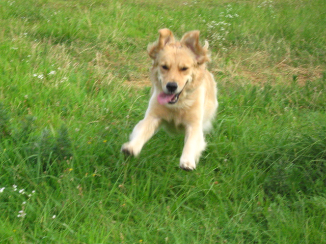 d0150309_20153352.jpg