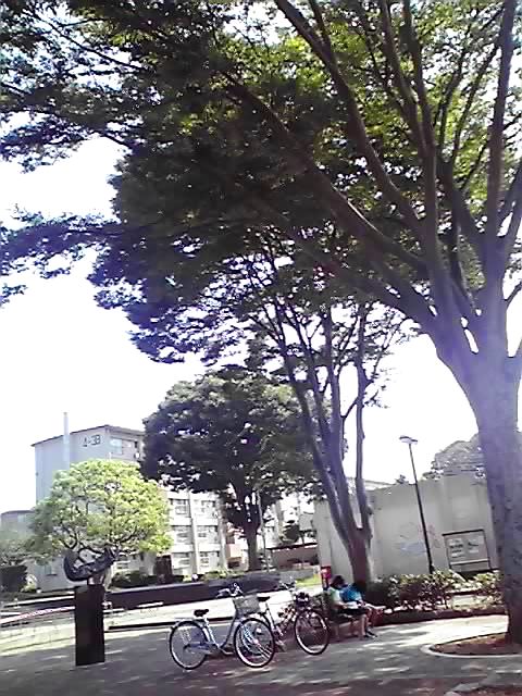 d0147812_19154220.jpg