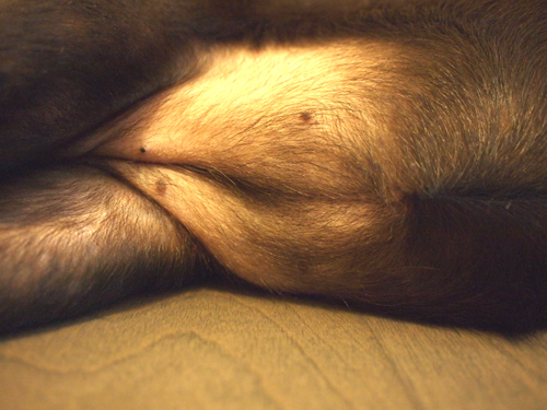 a0096015_9312250.jpg