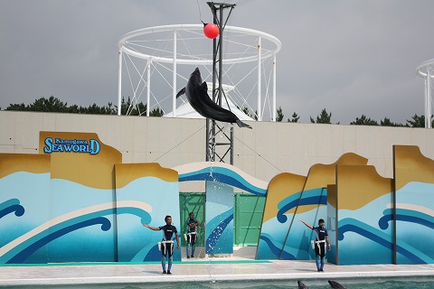 f0117618_21301487.jpg