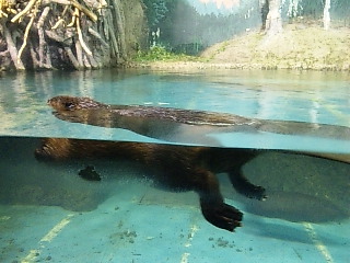 b0073322_727715.jpg