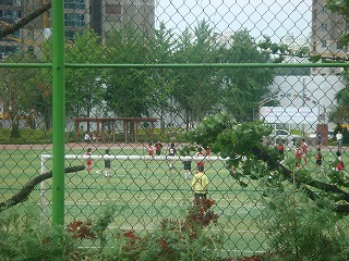 f0011322_2251039.jpg