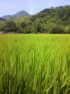 f0036223_2243186.jpg
